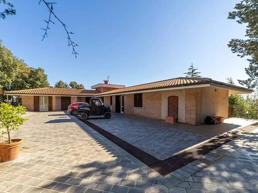 Immagine 22 di Villa in affitto  in Strada di San Domenico snc a Monte Argentario