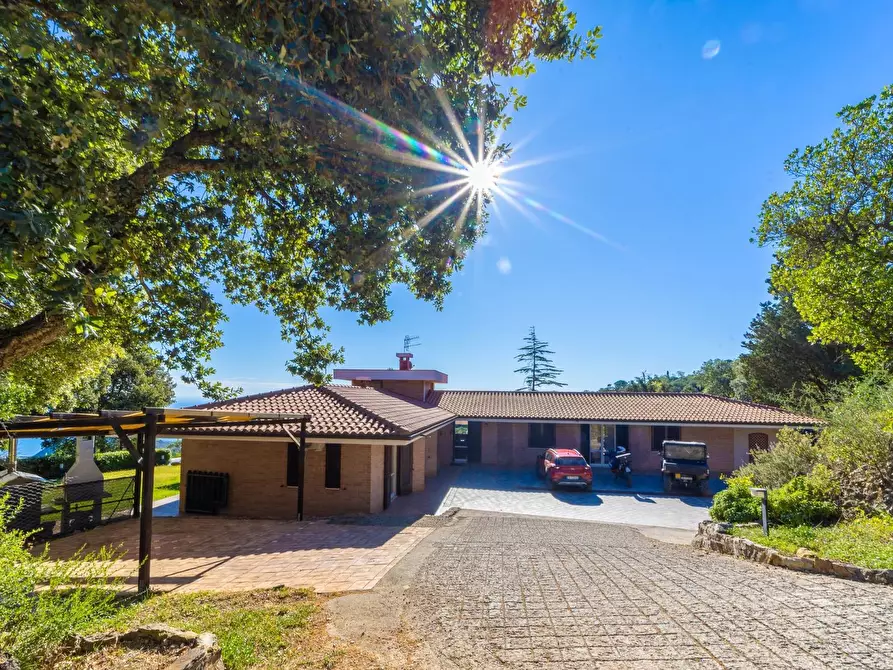 Immagine 23 di Villa in affitto  in Strada di San Domenico snc a Monte Argentario