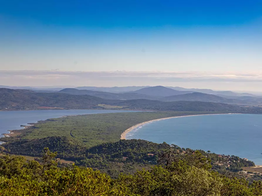 Immagine 24 di Villa in affitto  in Strada di San Domenico snc a Monte Argentario