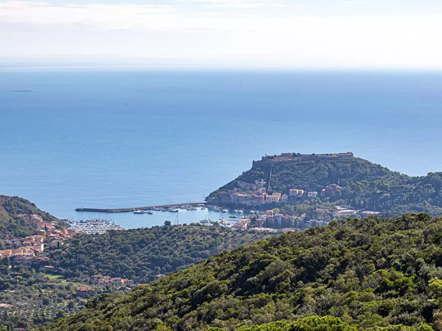 Immagine 28 di Villa in affitto  in Strada di San Domenico snc a Monte Argentario