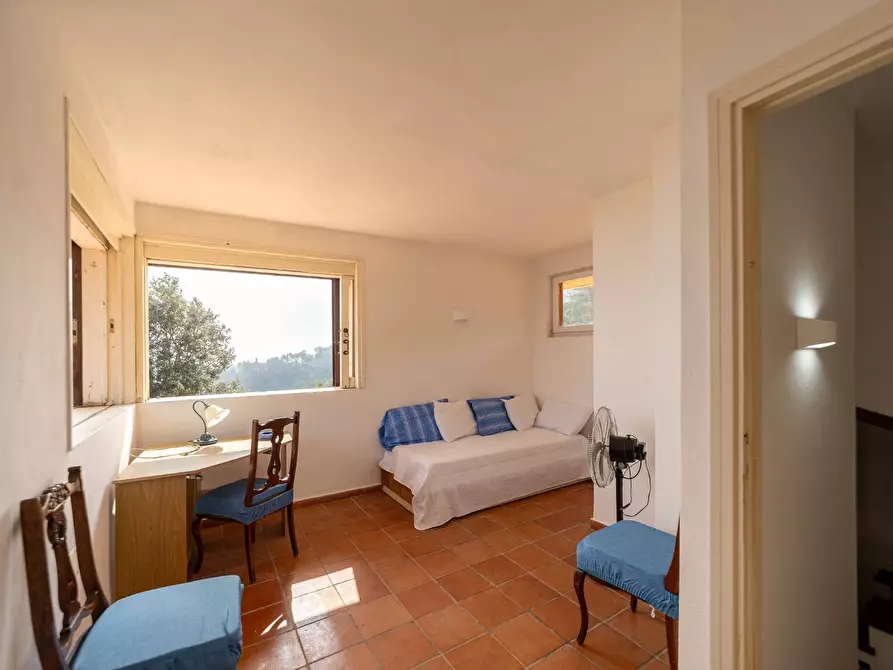 Immagine 53 di Villa in affitto  in Strada di San Domenico snc a Monte Argentario