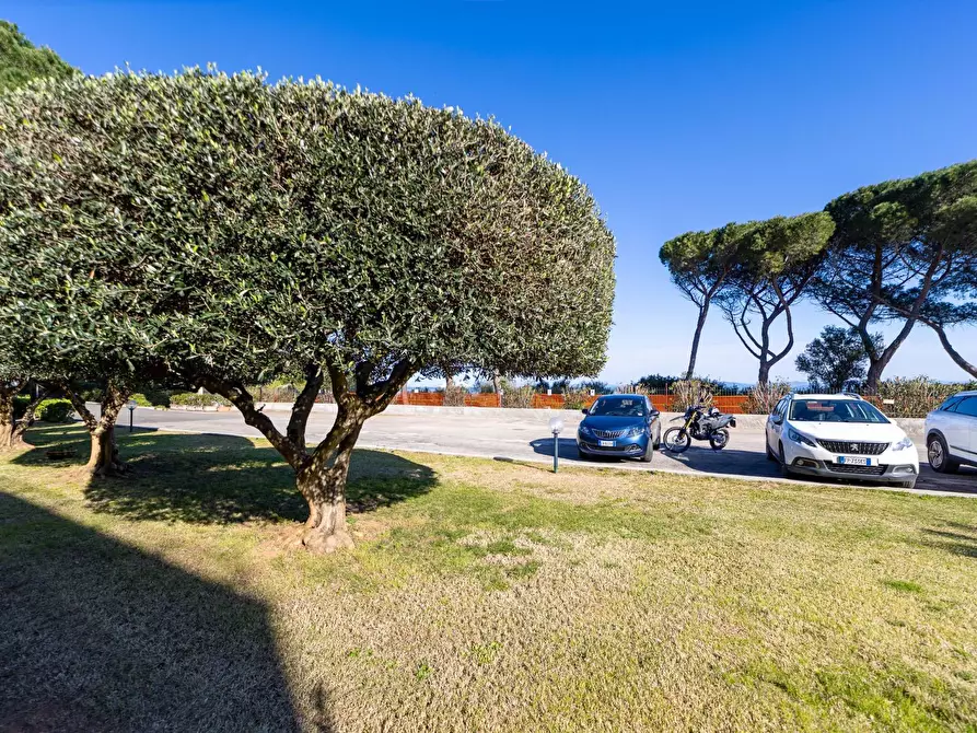 Immagine 31 di Appartamento in affitto  in Residence Costa degli ulivi a Monte Argentario