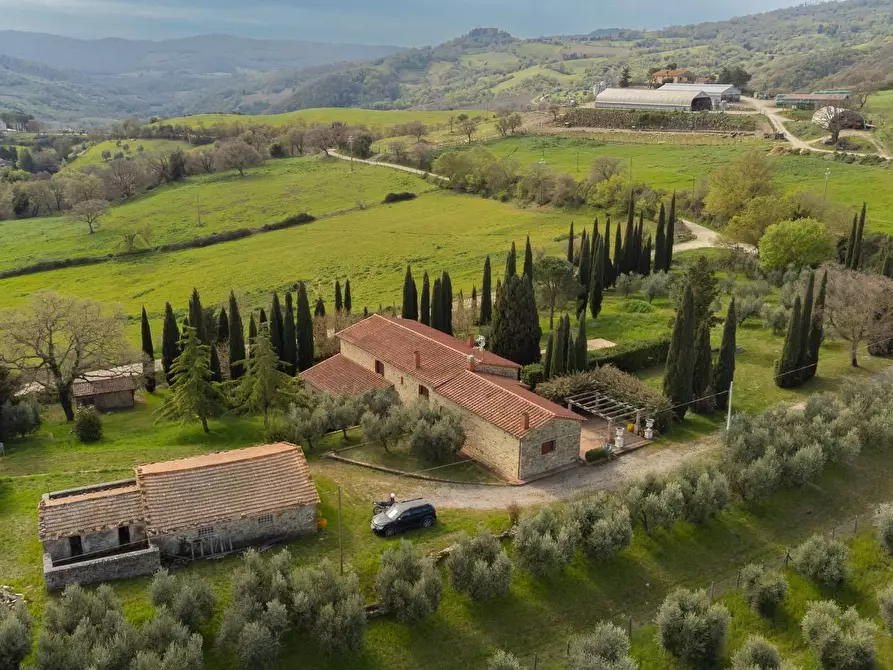 Immagine 4 di Villa in vendita  in Strada di Montepò snc a Scansano