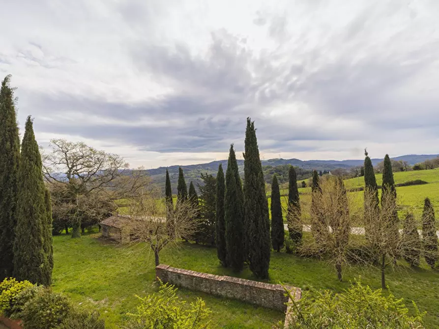 Immagine 30 di Villa in vendita  in Strada di Montepò snc a Scansano