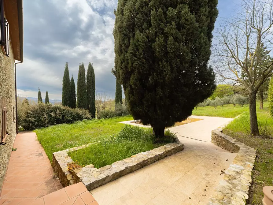 Immagine 47 di Villa in vendita  in Strada di Montepò snc a Scansano