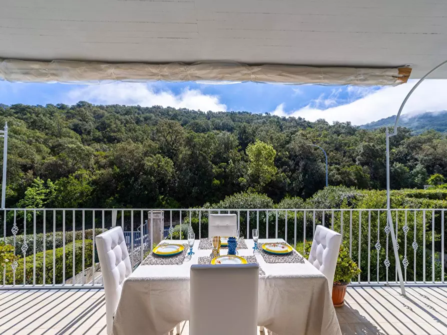 Immagine 1 di Villa in affitto  in via delle buche a Monte Argentario