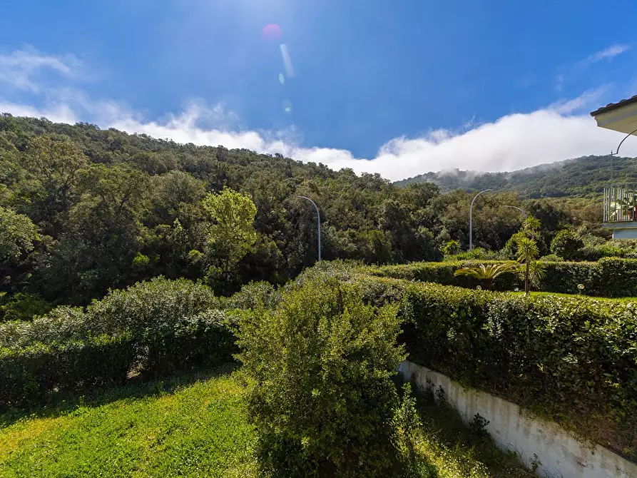Immagine 34 di Villa in affitto  in via delle buche a Monte Argentario