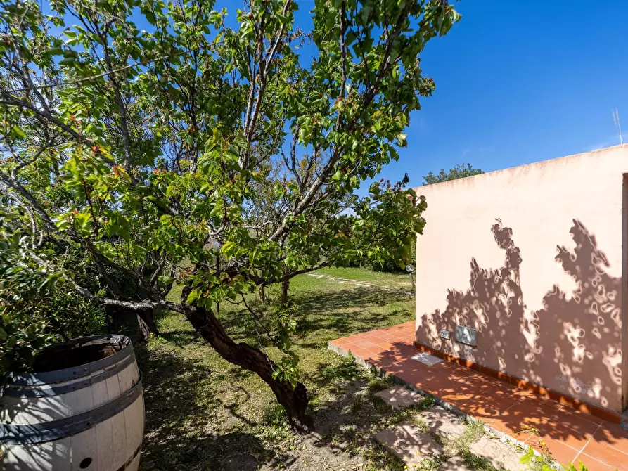 Immagine 20 di Casa indipendente in affitto  in strada provinciale giannella a Orbetello