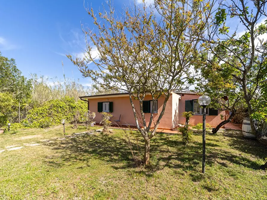 Immagine 21 di Casa indipendente in affitto  in strada provinciale giannella a Orbetello