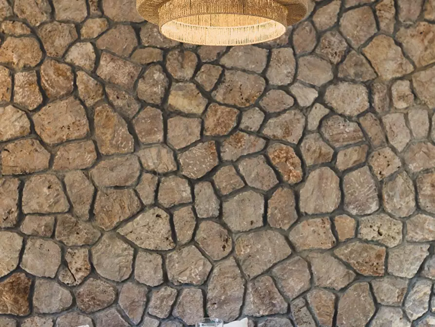 Immagine 6 di Villa in affitto  in Via Costa degli Ulivi snc a Monte Argentario