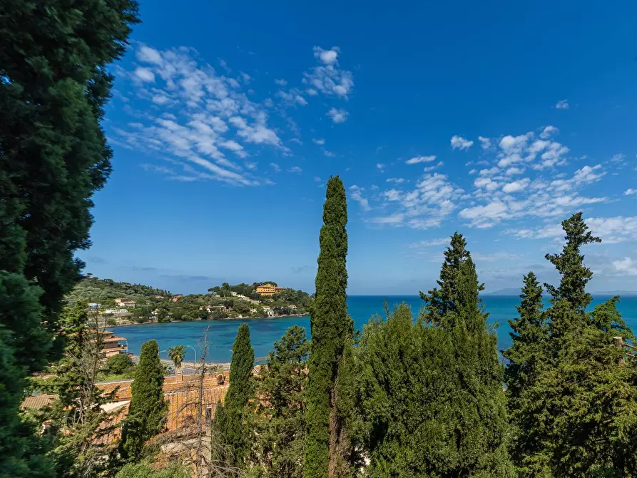 Immagine 3 di Villa in affitto  in Via Costa degli Ulivi snc a Monte Argentario
