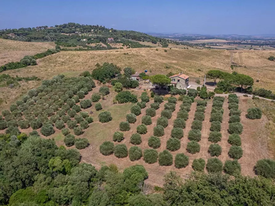 Immagine 3 di Appartamento in vendita  in Strada Vicinale dei Bagnacci 23 a Orbetello