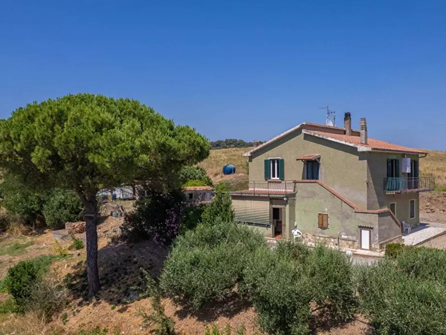 Immagine 1 di Appartamento in vendita  in Strada Vicinale dei Bagnacci 23 a Orbetello