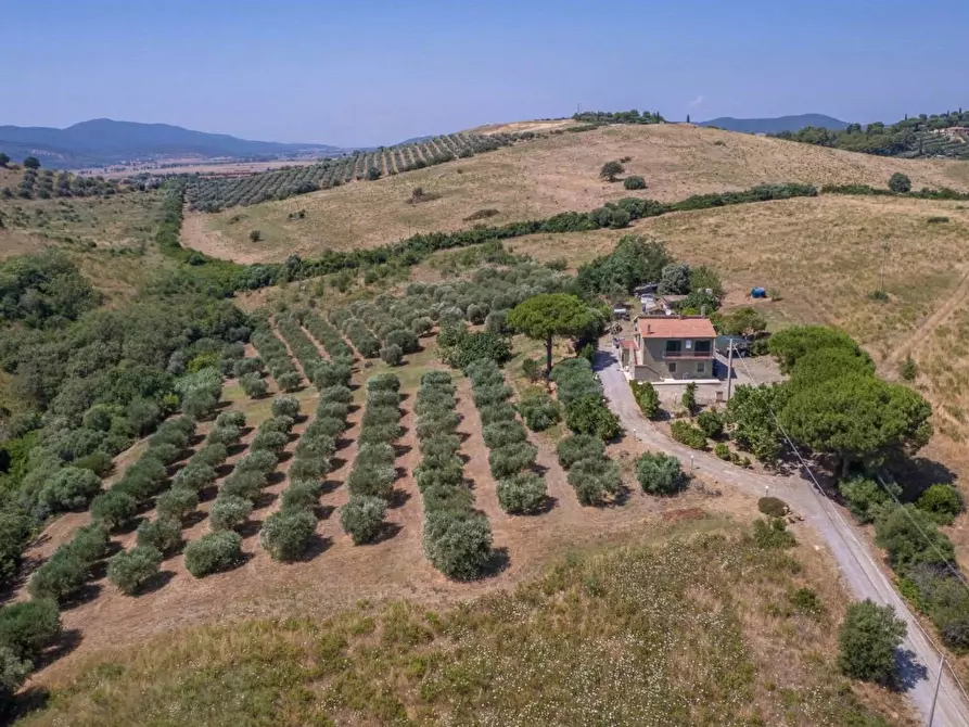 Immagine 2 di Appartamento in vendita  in Strada Vicinale dei Bagnacci 23 a Orbetello