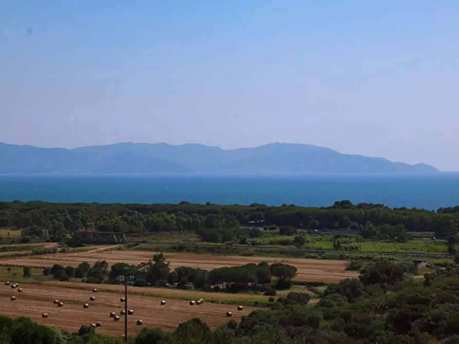 Immagine 14 di Appartamento in vendita  in Strada Vicinale dei Bagnacci 23 a Orbetello