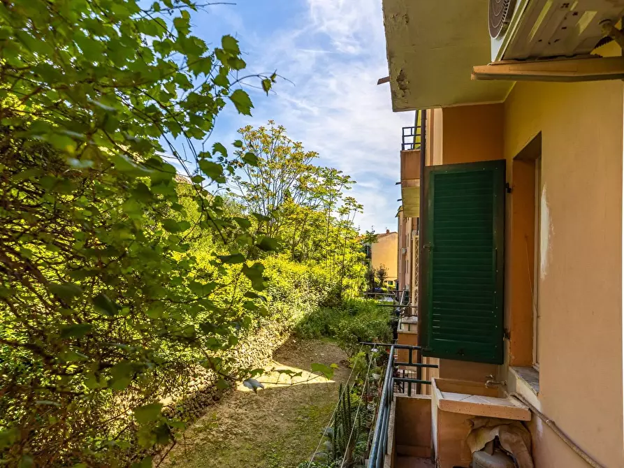Immagine 12 di Appartamento in affitto  in via privata 1 a Monte Argentario
