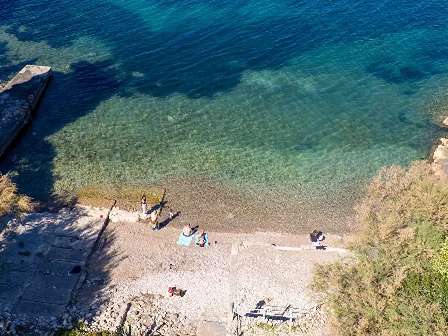 Immagine 48 di Attività commerciale in vendita  in Via del Fortino snc a Monte Argentario