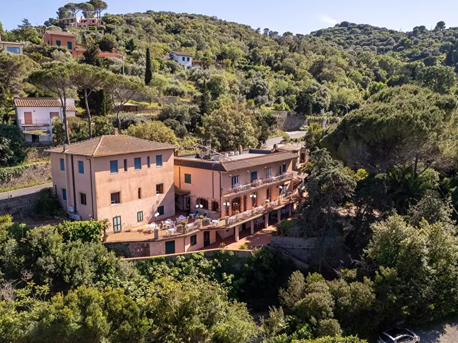 Immagine 2 di Attività commerciale in vendita  in Via del Fortino snc a Monte Argentario