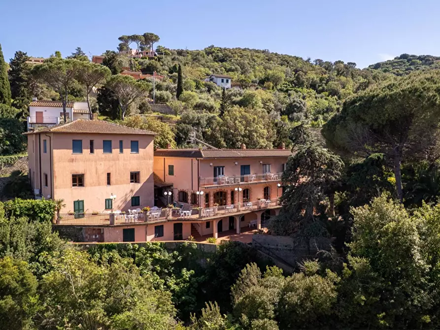 Immagine 5 di Attività commerciale in vendita  in Via del Fortino snc a Monte Argentario