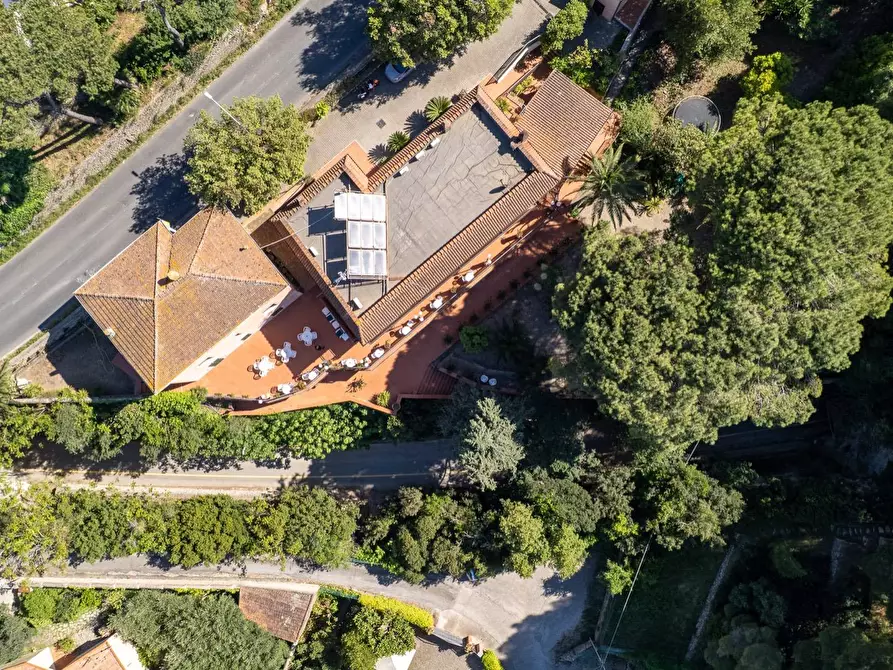 Immagine 7 di Attività commerciale in vendita  in Via del Fortino snc a Monte Argentario
