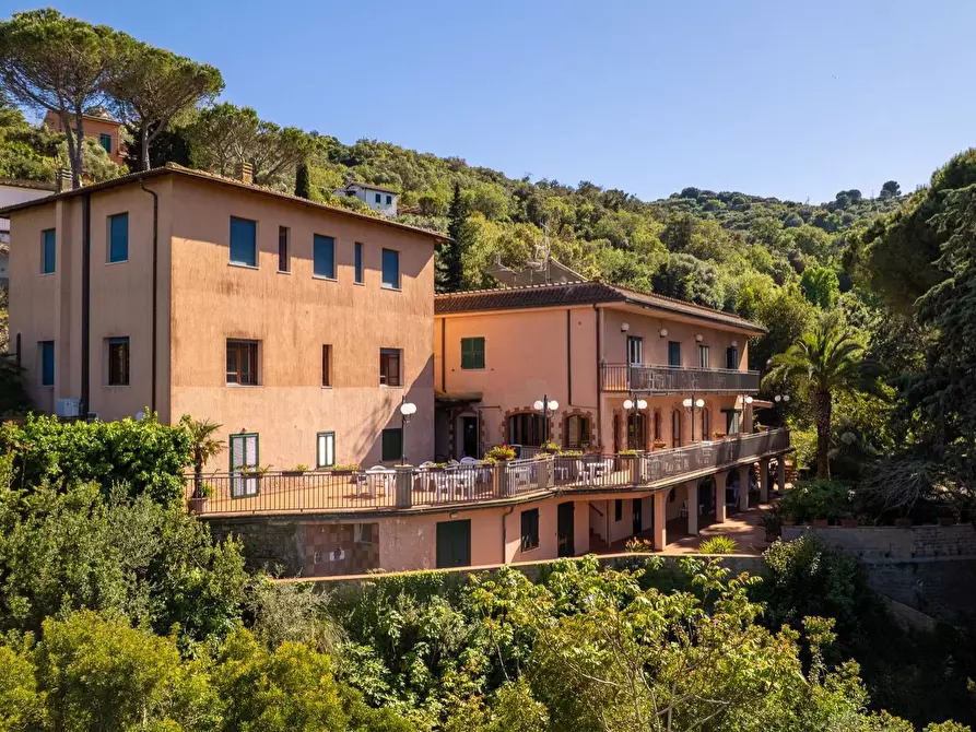 Immagine 8 di Attività commerciale in vendita  in Via del Fortino snc a Monte Argentario