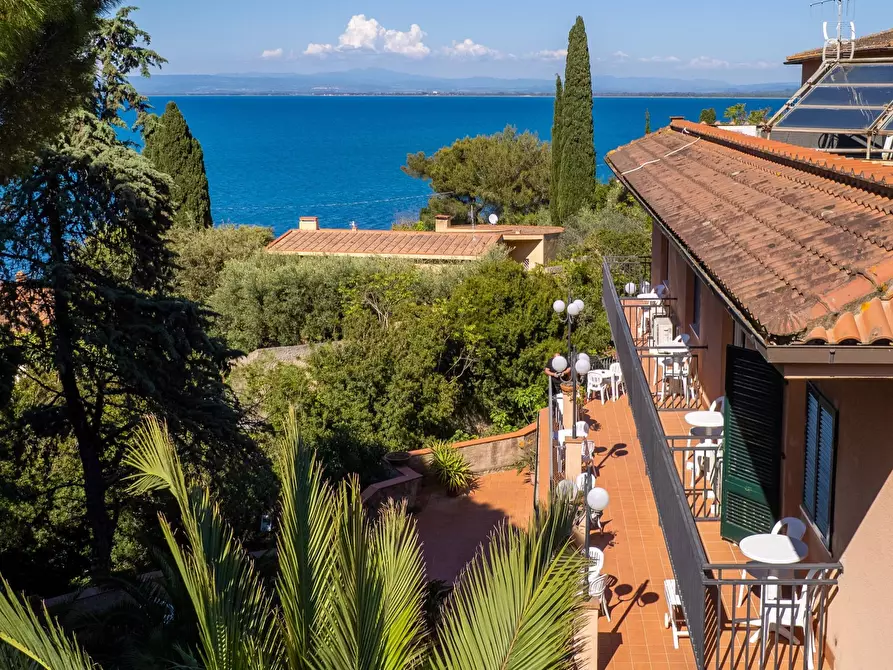 Immagine 9 di Attività commerciale in vendita  in Via del Fortino snc a Monte Argentario