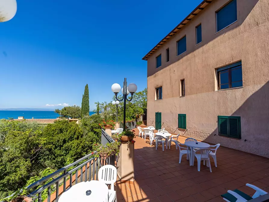 Immagine 25 di Attività commerciale in vendita  in Via del Fortino snc a Monte Argentario