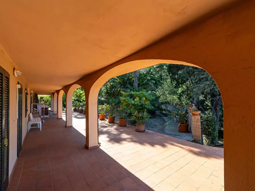 Immagine 27 di Attività commerciale in vendita  in Via del Fortino snc a Monte Argentario