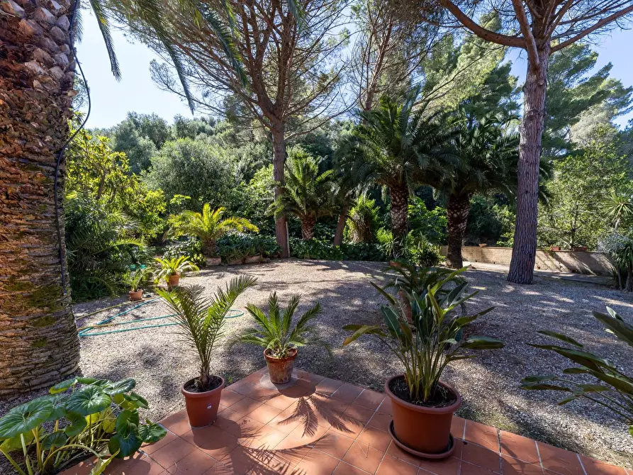Immagine 29 di Attività commerciale in vendita  in Via del Fortino snc a Monte Argentario