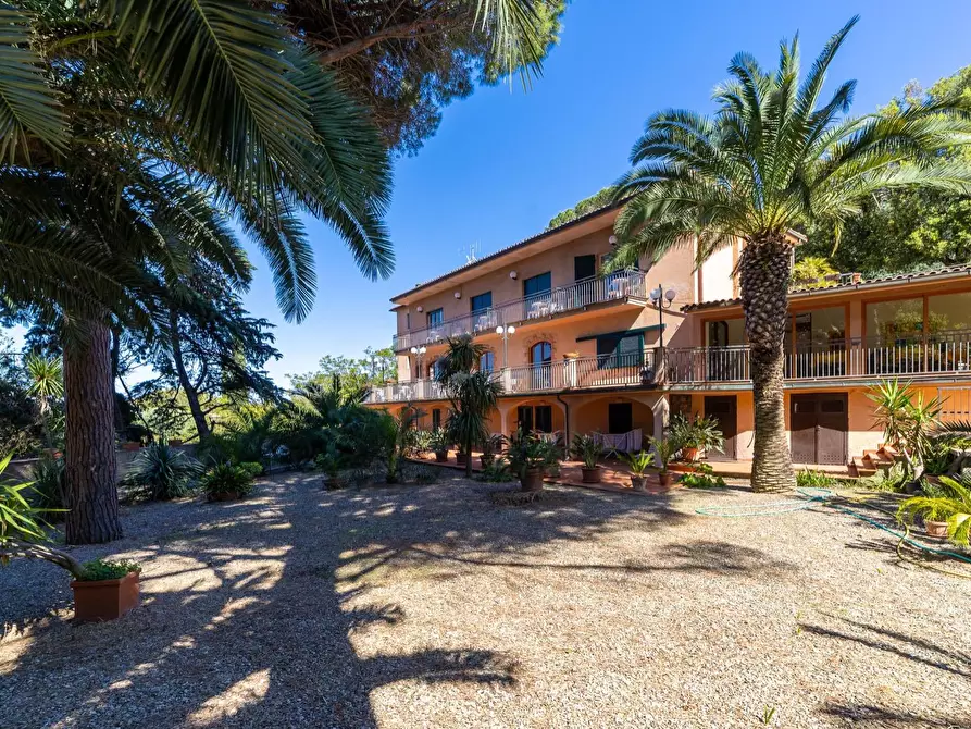 Immagine 31 di Attività commerciale in vendita  in Via del Fortino snc a Monte Argentario