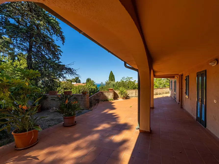 Immagine 34 di Attività commerciale in vendita  in Via del Fortino snc a Monte Argentario