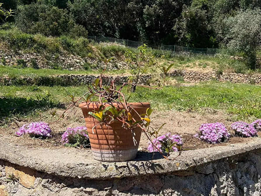 Immagine 30 di Villa in affitto  in Via dei Molini snc a Monte Argentario