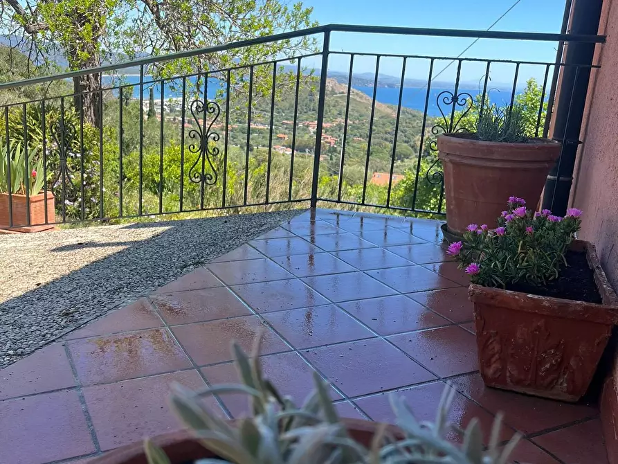 Immagine 2 di Villa in affitto  in Via dei Molini snc a Monte Argentario