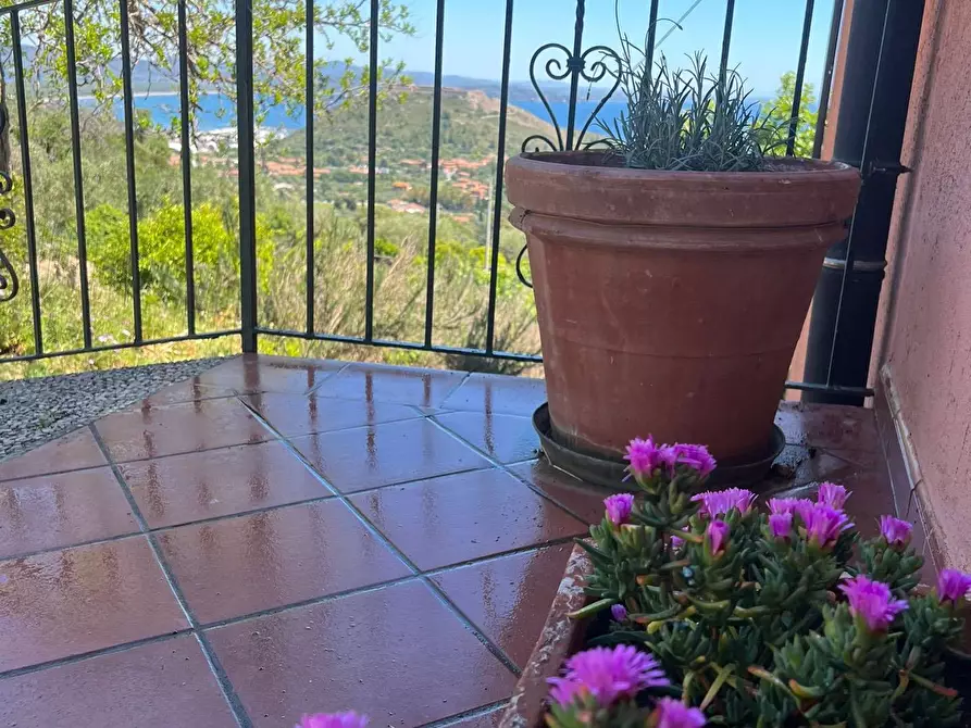Immagine 31 di Villa in affitto  in Via dei Molini snc a Monte Argentario