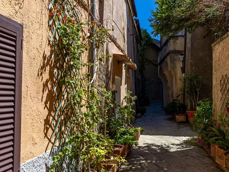 Immagine 33 di Attico in affitto  in via parrocchiale 10 a Monte Argentario