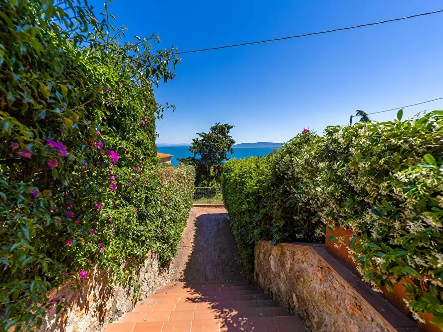 Immagine 6 di Appartamento in vendita  in Via Aia del Dottore 6 a Monte Argentario