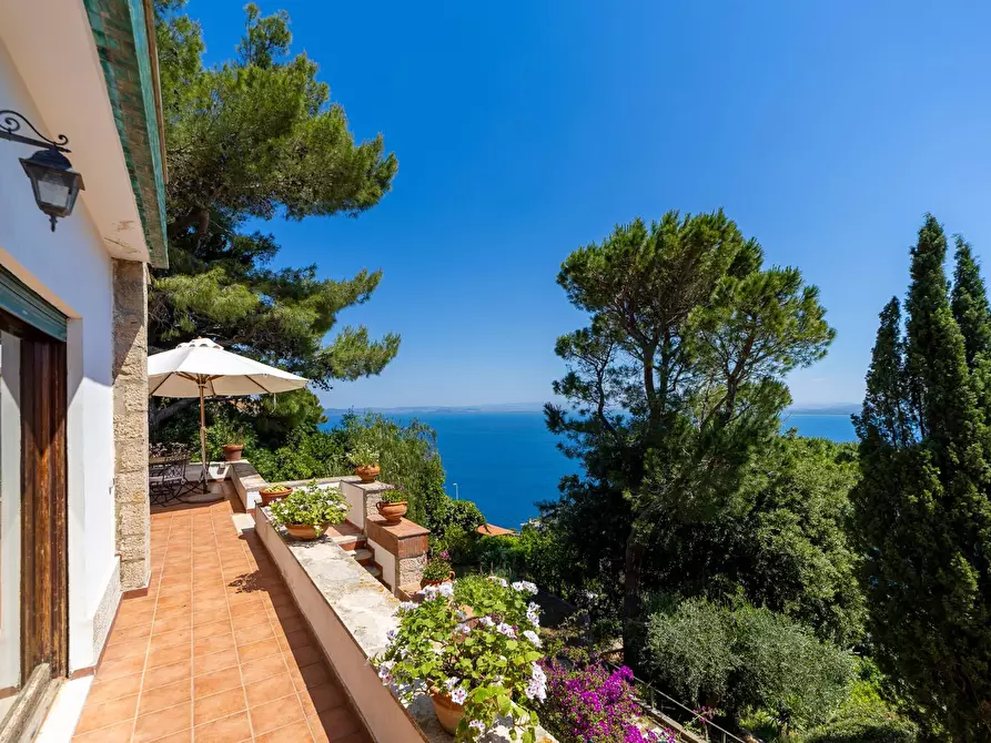 Immagine 2 di Villa in affitto  in Via del Sole snc a Monte Argentario