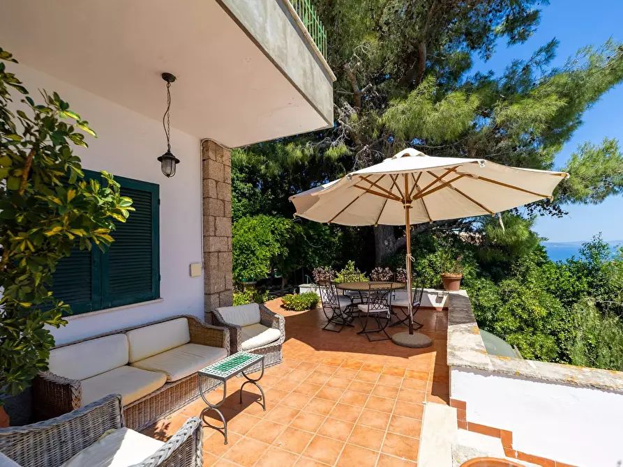 Immagine 3 di Villa in affitto  in Via del Sole snc a Monte Argentario