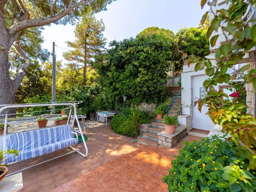 Immagine 12 di Villa in affitto  in Via del Sole snc a Monte Argentario