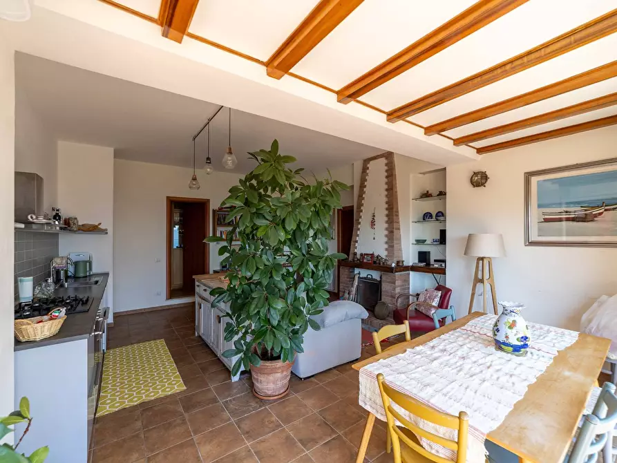 Immagine 17 di Villa in affitto  in Via del Sole snc a Monte Argentario