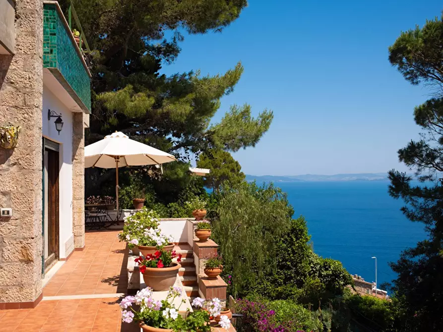 Immagine 34 di Villa in affitto  in Via del Sole snc a Monte Argentario