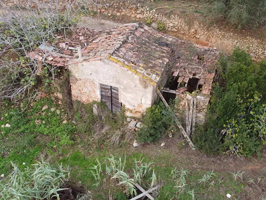 Immagine 3 di Casa indipendente in vendita  in Località Pispino snc a Monte Argentario