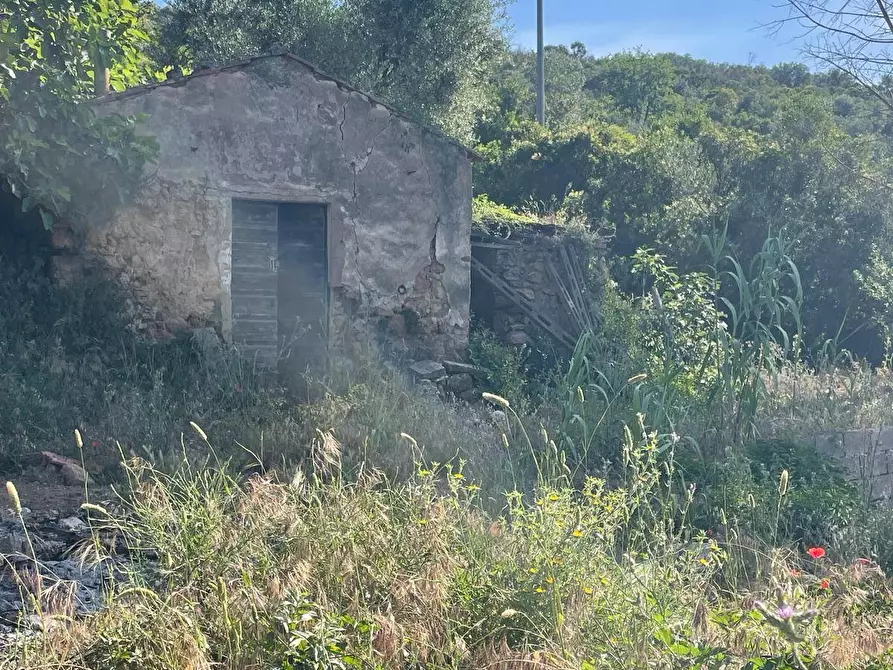 Immagine 4 di Casa indipendente in vendita  in Località Pispino snc a Monte Argentario