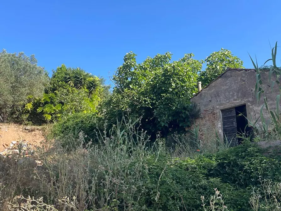 Immagine 5 di Casa indipendente in vendita  in Località Pispino snc a Monte Argentario