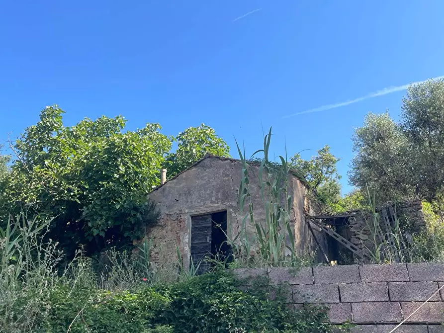 Immagine 6 di Casa indipendente in vendita  in Località Pispino snc a Monte Argentario