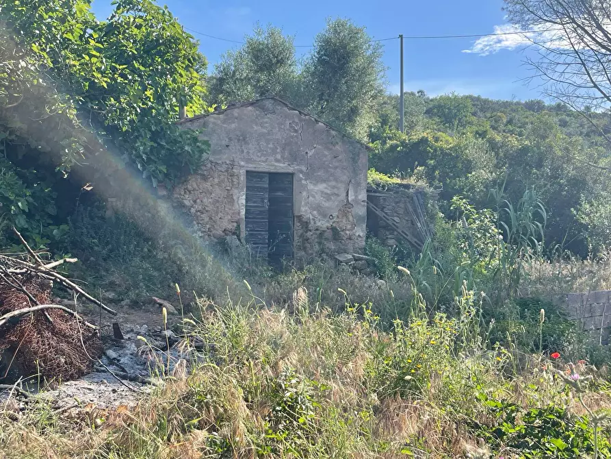 Immagine 8 di Casa indipendente in vendita  in Località Pispino snc a Monte Argentario
