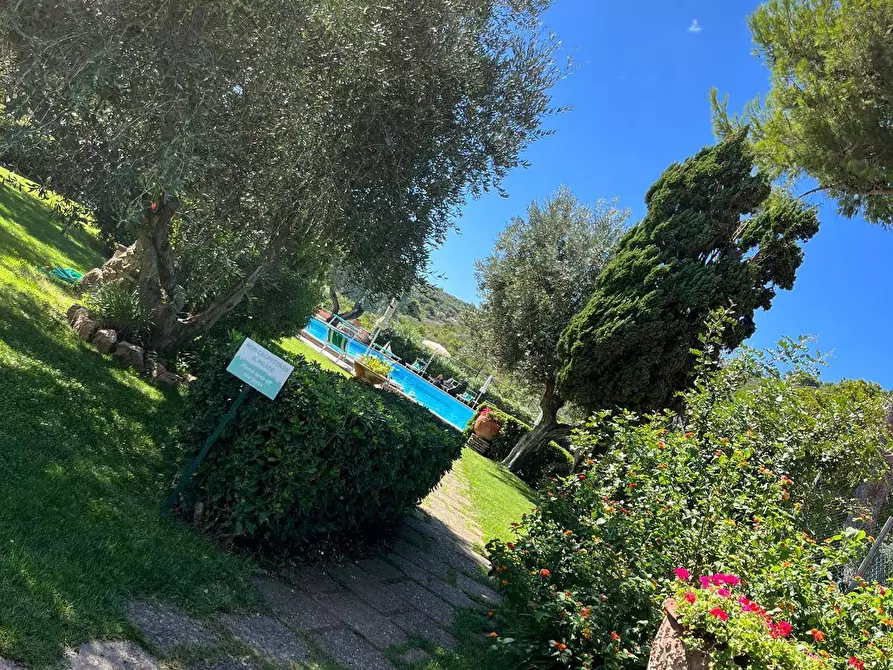 Immagine 32 di Appartamento in vendita  in residence il carrubo a Monte Argentario