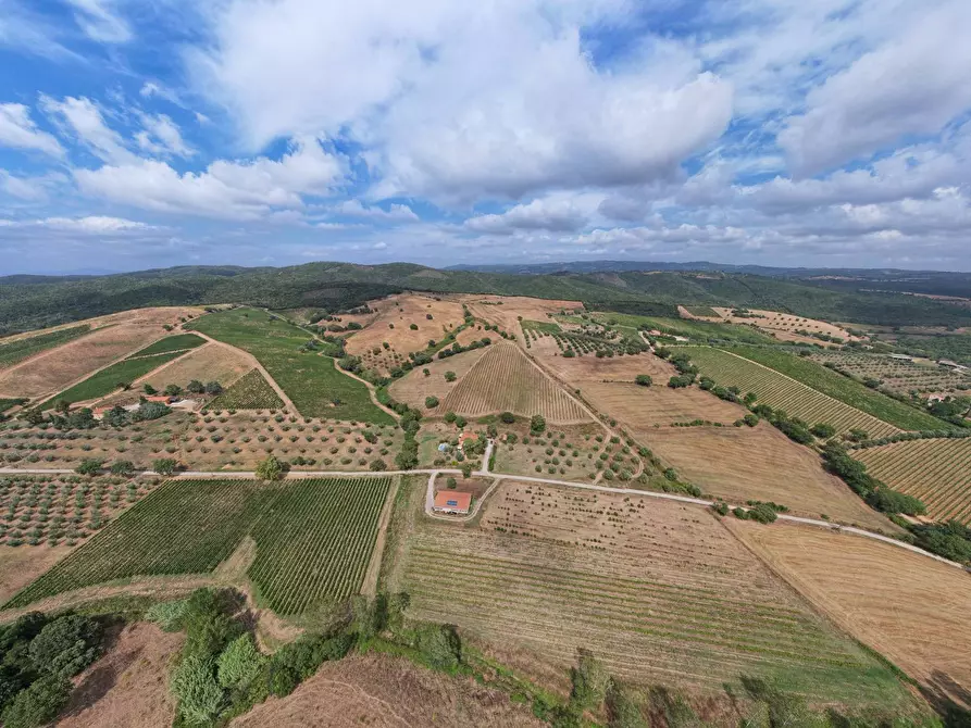 Immagine 3 di Casa indipendente in vendita  in Le Lupinaie snc a Longiano