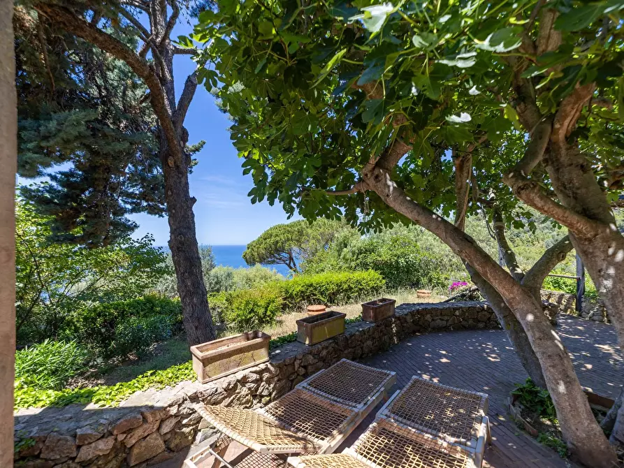 Immagine 3 di Villa in vendita  in Località Cala Moresca snc a Monte Argentario