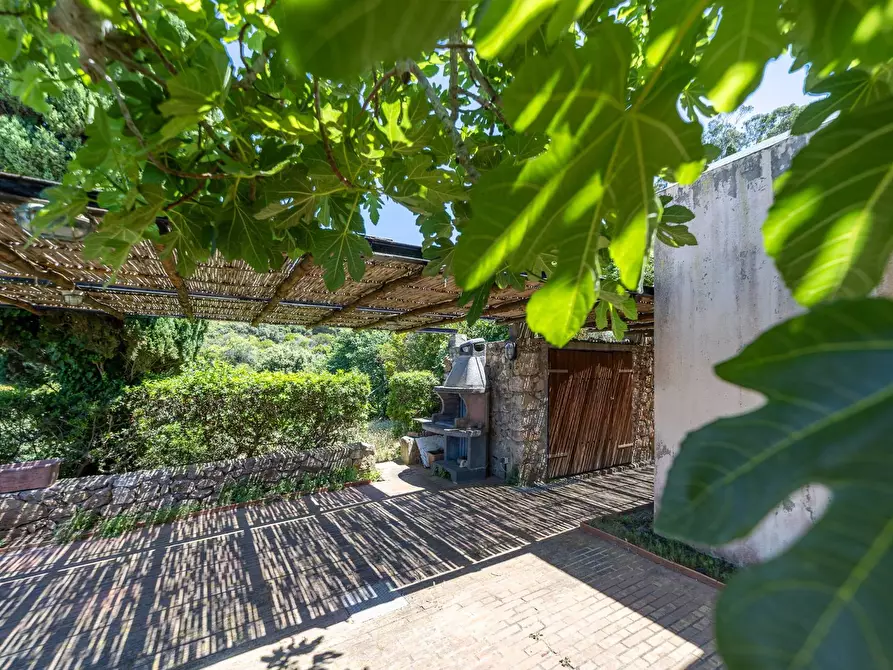 Immagine 6 di Villa in vendita  in Località Cala Moresca snc a Monte Argentario